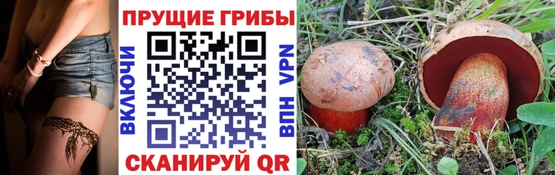 MEGA   магазин  наркотиков  Бугульма  Псилоцибиновые грибы Psilocybe 
